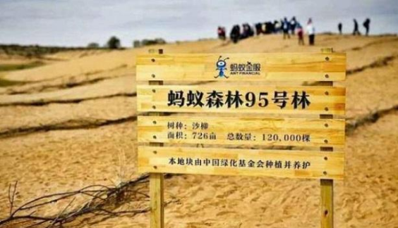 短短3年，马云的“天价”蚂蚁森林，曝光真实画面，网友呆住了！
