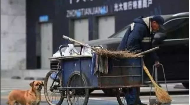 清洁工爷爷捡了一只流浪狗，每天分狗一口饭，于是狗狗知恩图报