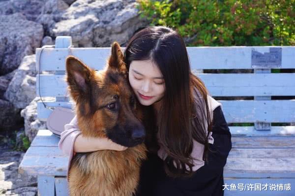 一只患上“侏儒症”的德牧，8岁还和小时候一样，萌化众多少女！