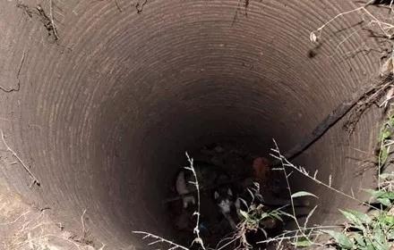 哈士奇无故失联, 谁都没想到在这个地方找到了它, 这狗是真的傻