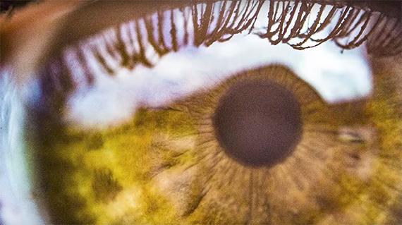 8纸板摄影技巧在镜头, 相机和基本配件之间, 制作图像的行为可能很昂贵