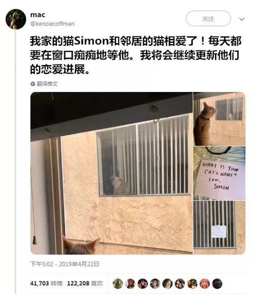 猫界“洪世贤”！始乱终弃的样子像极了你的前男友...