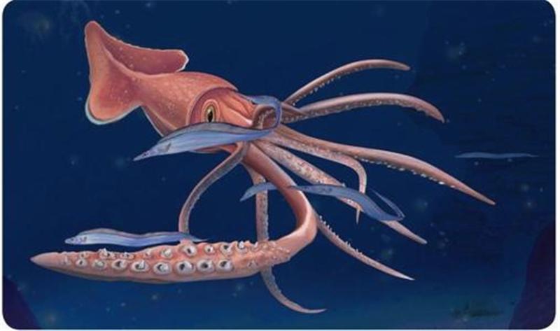 盘点三种生活在深海之中的神秘生物，第二更是被当做海龙王的使者