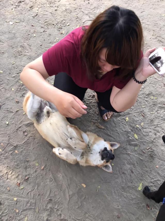 十年前，她被狗追到留下阴影，如今喂流浪狗，又碰到它……