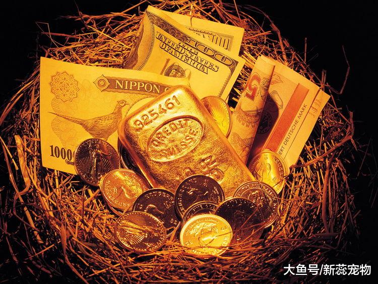 9月下旬喜气盈门，身边的财气弥漫，生活富得流油的三大生肖