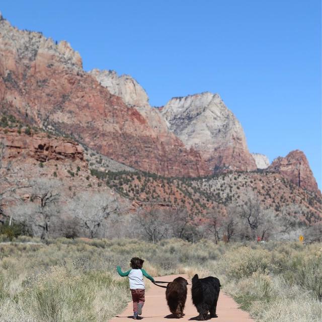 夫妇领养了72kg的狗狗，站起来一米八，看似凶猛实际小可爱