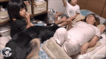 德牧把自己当成孩子，跟小主人抢“妈妈”，谁还不是宝宝呢？