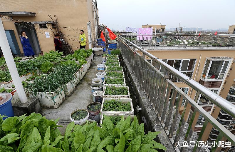 “穷人买一楼, 傻子买顶楼”这种说法有道理吗？房产专家有话说