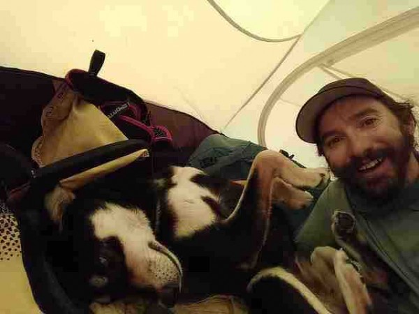 流浪的狗跟随男子攀登冰山，男子不停它也不停，狗：遇见你真好！