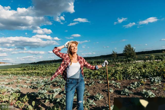 若干年后农村还有人吗