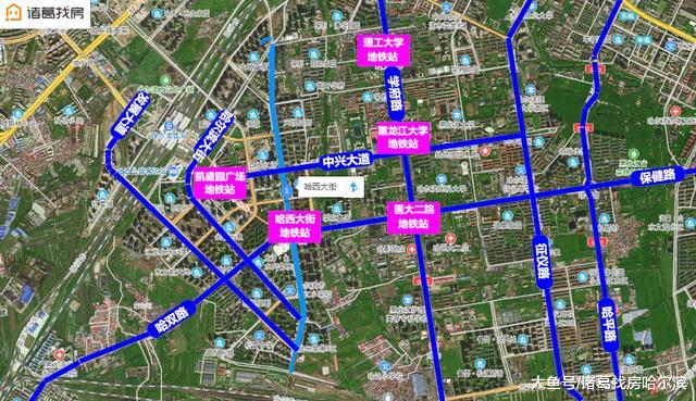 哈西大街附近地块出让！2宗商住地超8万平！楼面价3899元/㎡起