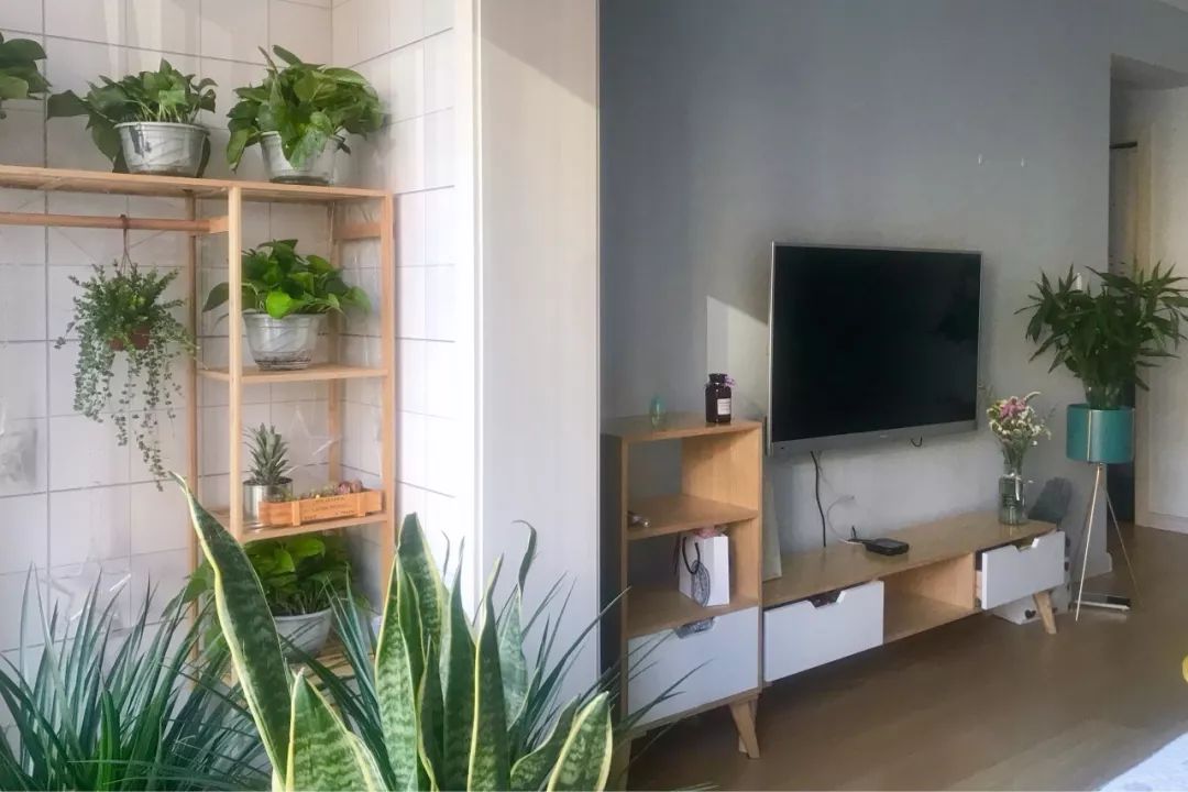 阳台纳入客厅，如何利用起来？