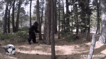 二哈在野外看到“怪兽”，结果忘记保护主人，还是逃命要紧啊
