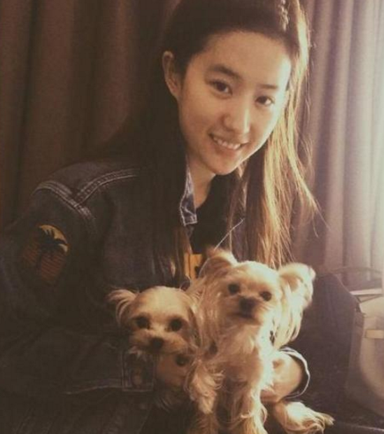 ?晒晒刘亦菲住的豪宅，墙面还挂着自己的自画像，进门一看仙气十足