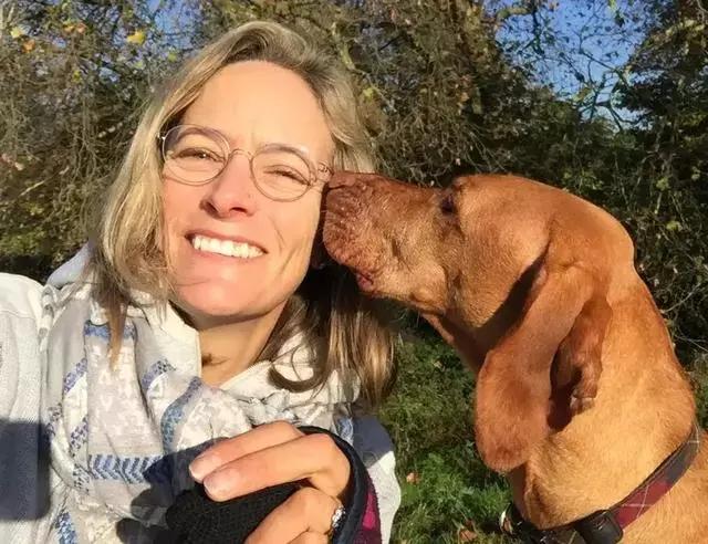 狗狗吃蛋糕八天后死亡，养只狗，并不比养小孩要容易...