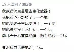 颜值越高的猫放的屁越臭？亲测，传闻是真的！