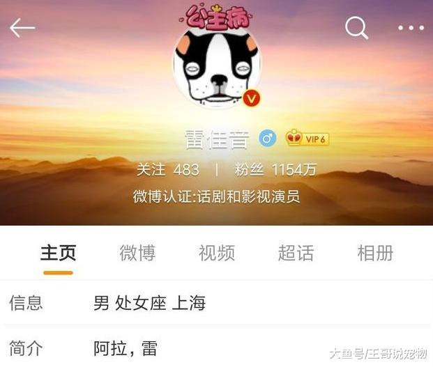 看完雷佳音简介我没笑，看完的林更新简介我没笑，可袁弘真忍不了