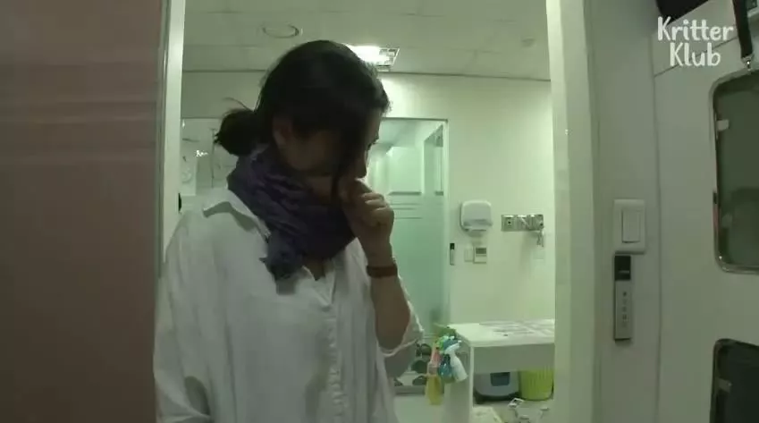 因为爱，这只橘猫爆瘦成一道闪电