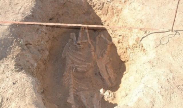 农民挖地窖，竟挖出五十具尸骨，考古专家赶到后挖出战国将军墓