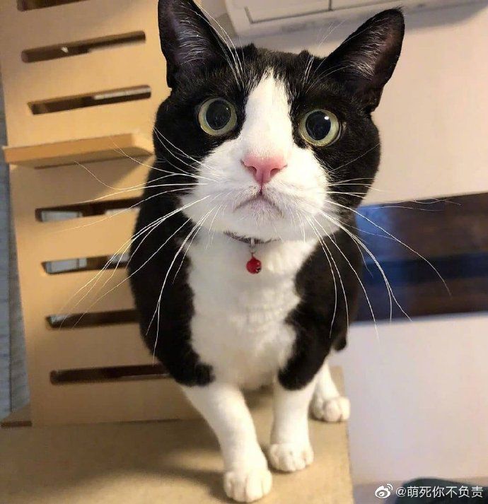 老娘好不容易哄睡觉的，你再揪个试试