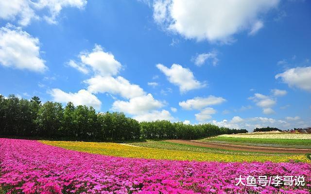 不懂感恩，是人性最大的恶！