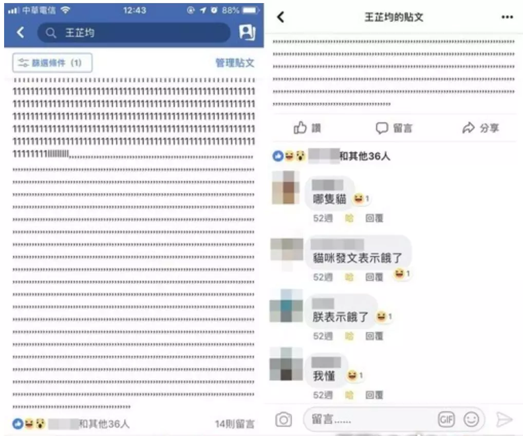 如何判断，对面跟你聊天的是不是一只猫？