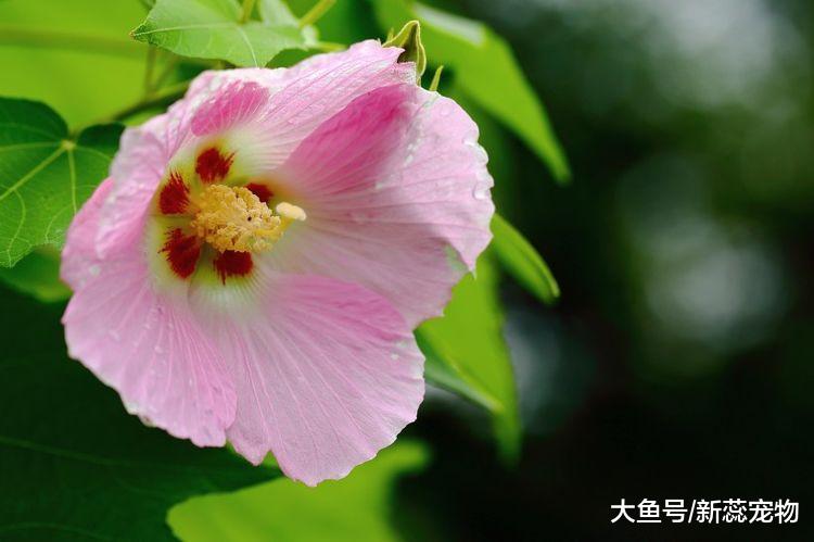 这3生肖，未来20天，正偏财一路飙涨，日子越过越好！