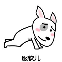 宠物: 到底是什么引起的呕吐呢？