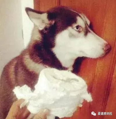 原来这些“影帝”搭档的明星阵容如此豪华