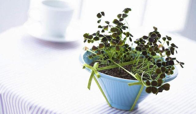 医生：甲醛释放期15年之久！不想宝宝得白血病，远离两种装修材料