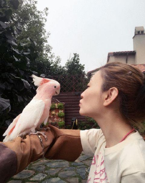 国内养这5种葵花鹦鹉的人，不是明星就是富二代，一般人买不起