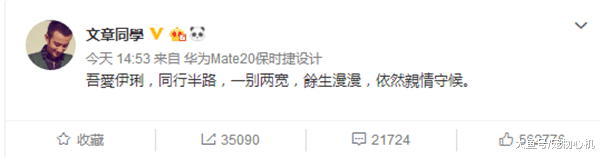 文章、马伊琍终于离婚了