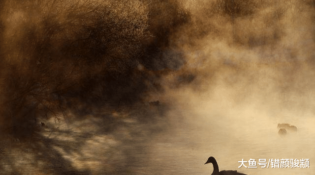 心理测试：看4个场景，测你是否是个敏感的人