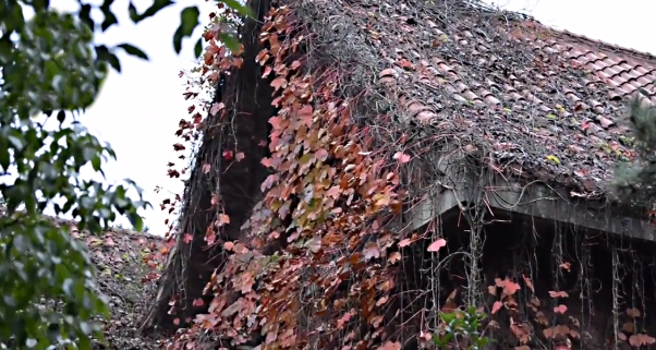 破败的烂尾楼竟价值千万，我读书少，你别骗我