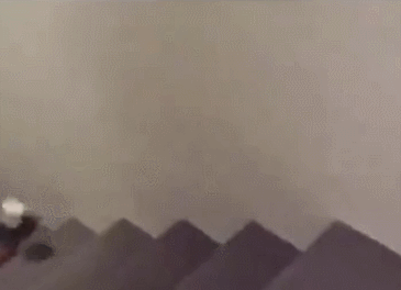 狗狗拖着一个纸箱上楼梯，艰难爬到最后一个台阶却尴尬了