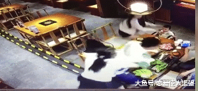 吃个饭惹祸上身，被滚烫的火锅水泼了一身，现受害人全身烫伤！