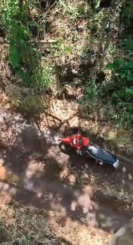 吓到屁滚尿流！出门衰遇猛虎拦路 女机警爬竹保小命