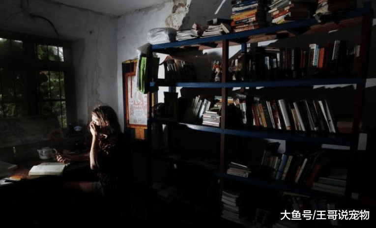 在中国农村定居的美国人，最大的心愿就是“将美国变成中国”