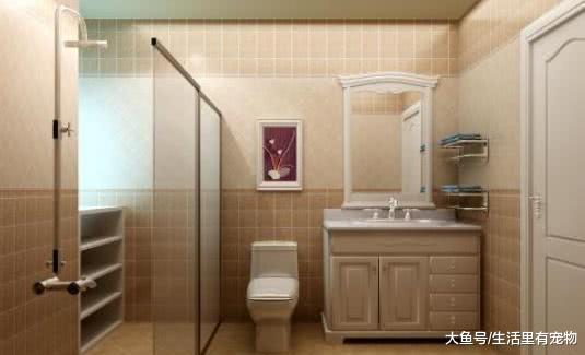 晚上睡覺時，衛生間的門是應該關著還是開著，住久了容易生病！