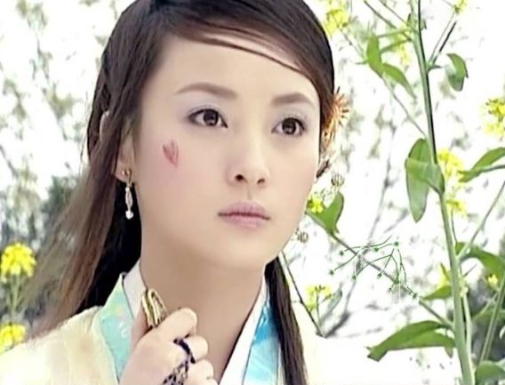 赵文卓合作过的古装美人，蒋勤勤第3，贾静雯第2，第一风情万种