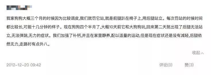 靠狗狗站立来博眼球的博主，都应该拉黑、取关！