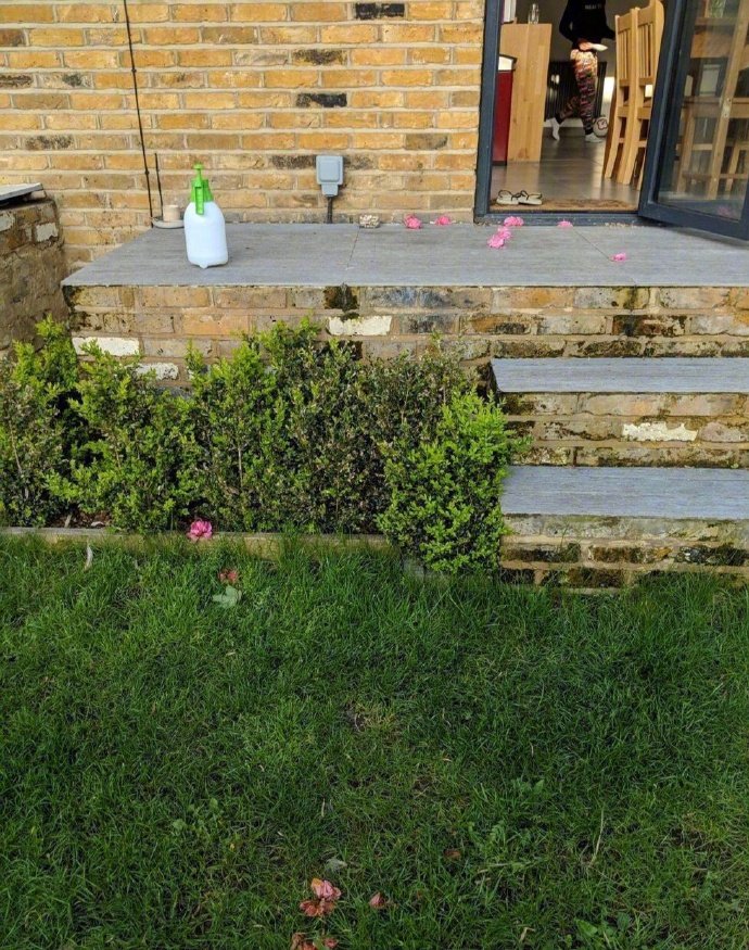 妹子搬新家后天天被猫咪送花，网友：这猫比男人都浪漫！