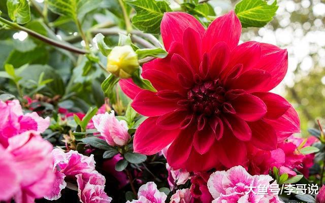 人过50以后，最好的活法！