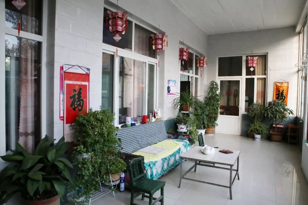 台子镇：乡村“庭院”焕“新颜”