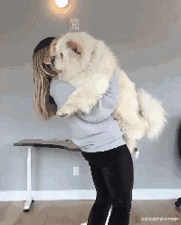 养狗生涯，就怕遇到这5种情况，你有试过吗？