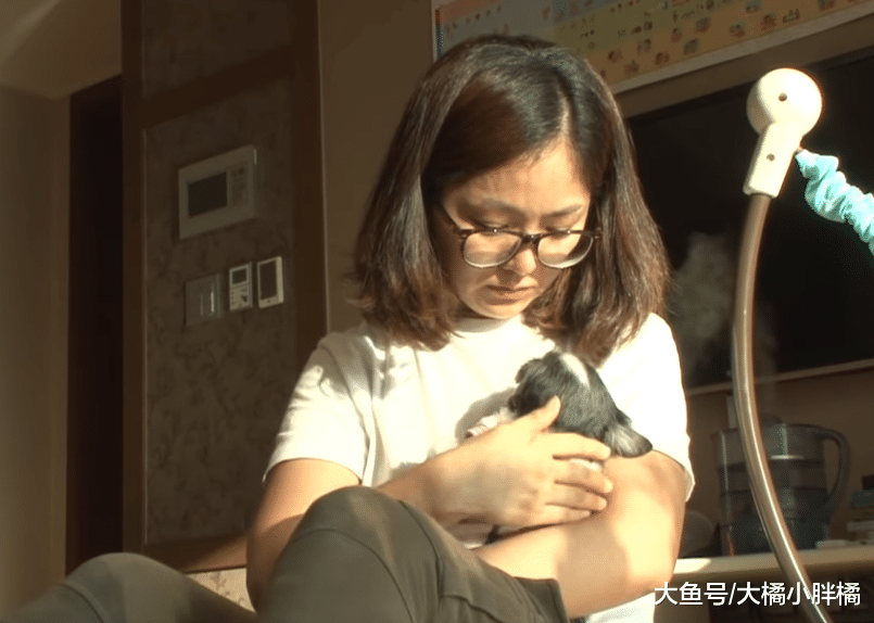 狗狗4年前与主人走散，4年后有个遗愿，它想再最后看一眼主人