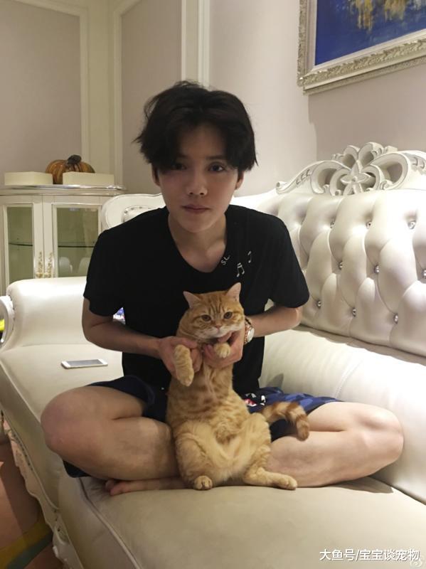 李冰冰竟然养活蜘蛛，曝光明星们的爱宠大集合！