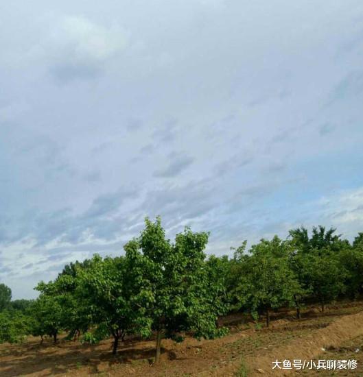 我的乡村婚房，占地面积1000平，光客厅70平，比城里一套房子大！