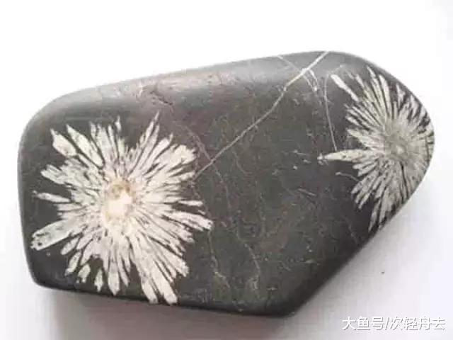 ＂新疆到底有多少种宝玉石？＂