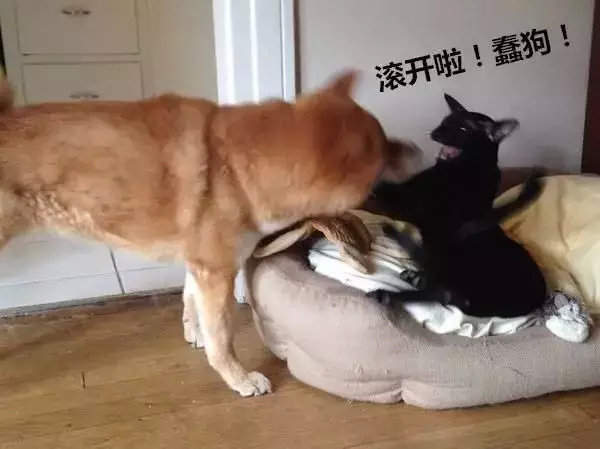 新晋两位奥斯卡影帝得主